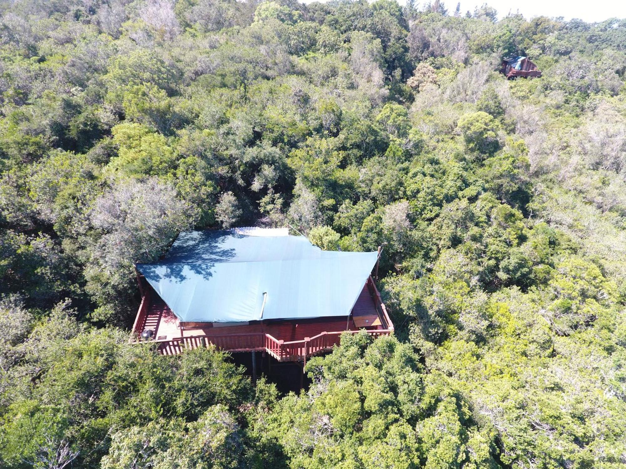 Teniqua Treetops Karatara Settlement Extérieur photo